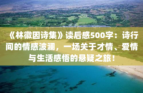 《林徽因诗集》读后感500字：诗行间的情感波澜，一场关于才情、爱情与生活感悟的悬疑之旅！