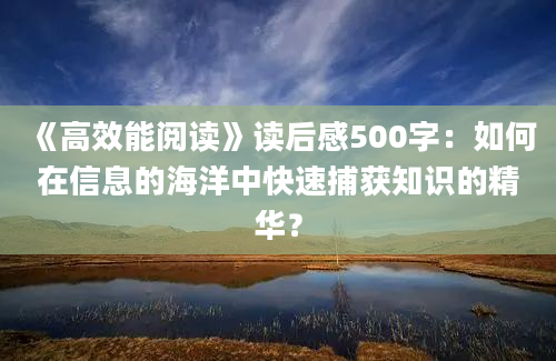 《高效能阅读》读后感500字：如何在信息的海洋中快速捕获知识的精华？