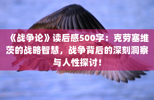 《战争论》读后感500字：克劳塞维茨的战略智慧，战争背后的深刻洞察与人性探讨！