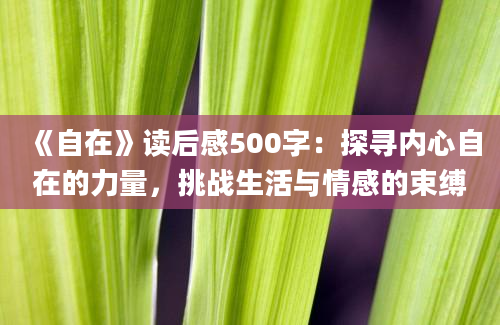 《自在》读后感500字：探寻内心自在的力量，挑战生活与情感的束缚