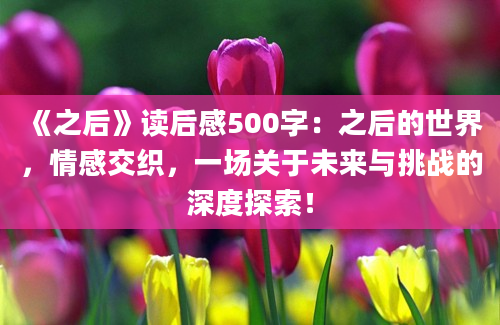 《之后》读后感500字：之后的世界，情感交织，一场关于未来与挑战的深度探索！