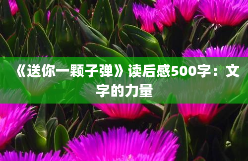 《送你一颗子弹》读后感500字：文字的力量