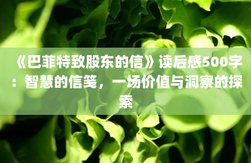 《巴菲特致股东的信》读后感500字：智慧的信笺，一场价值与洞察的探索