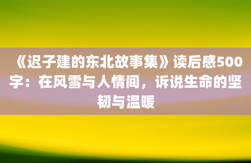 《迟子建的东北故事集》读后感500字：在风雪与人情间，诉说生命的坚韧与温暖