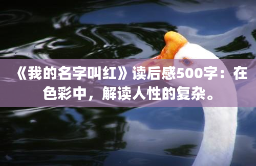 《我的名字叫红》读后感500字：在色彩中，解读人性的复杂。