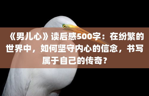 《男儿心》读后感500字：在纷繁的世界中，如何坚守内心的信念，书写属于自己的传奇？