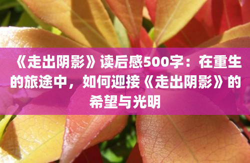 《走出阴影》读后感500字：在重生的旅途中，如何迎接《走出阴影》的希望与光明