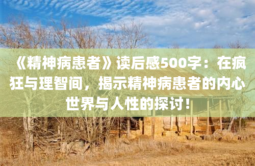 《精神病患者》读后感500字：在疯狂与理智间，揭示精神病患者的内心世界与人性的探讨！