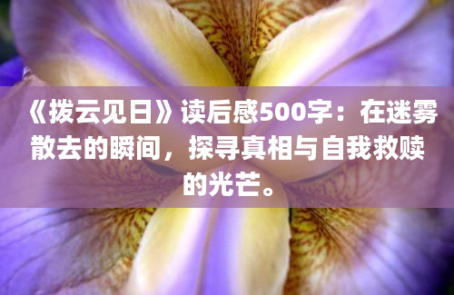 《拨云见日》读后感500字：在迷雾散去的瞬间，探寻真相与自我救赎的光芒。