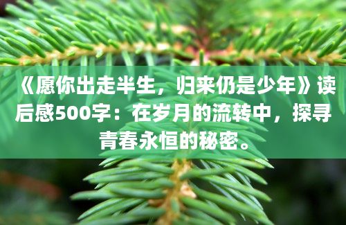 《愿你出走半生，归来仍是少年》读后感500字：在岁月的流转中，探寻青春永恒的秘密。