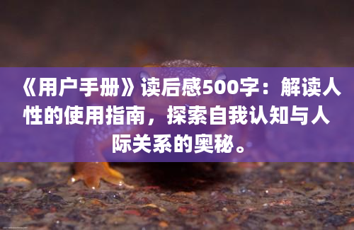 《用户手册》读后感500字：解读人性的使用指南，探索自我认知与人际关系的奥秘。