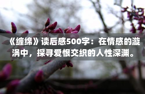 《缠绵》读后感500字：在情感的漩涡中，探寻爱恨交织的人性深渊。