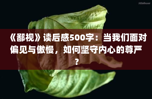 《鄙视》读后感500字：当我们面对偏见与傲慢，如何坚守内心的尊严？