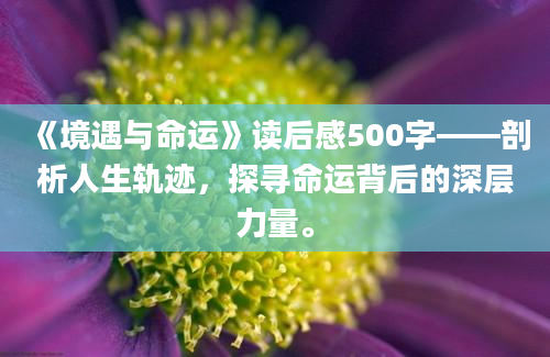 《境遇与命运》读后感500字——剖析人生轨迹，探寻命运背后的深层力量。