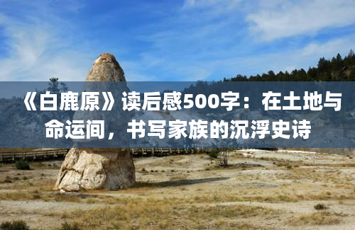 《白鹿原》读后感500字：在土地与命运间，书写家族的沉浮史诗