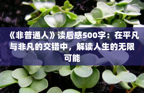 《非普通人》读后感500字：在平凡与非凡的交错中，解读人生的无限可能