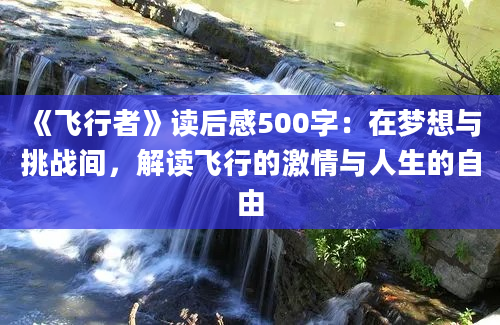 《飞行者》读后感500字：在梦想与挑战间，解读飞行的激情与人生的自由