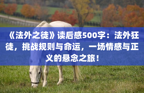 《法外之徒》读后感500字：法外狂徒，挑战规则与命运，一场情感与正义的悬念之旅！