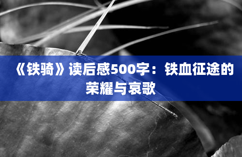 《铁骑》读后感500字：铁血征途的荣耀与哀歌