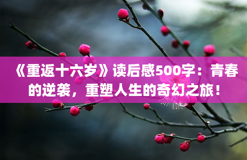 《重返十六岁》读后感500字：青春的逆袭，重塑人生的奇幻之旅！