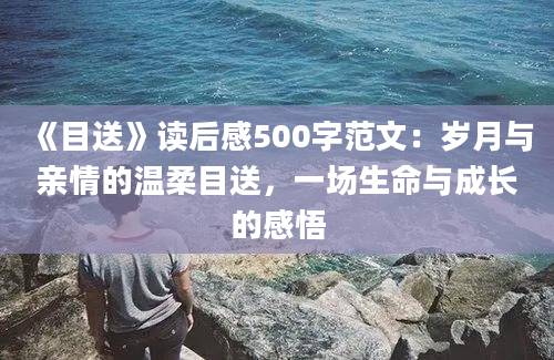 《目送》读后感500字范文：岁月与亲情的温柔目送，一场生命与成长的感悟