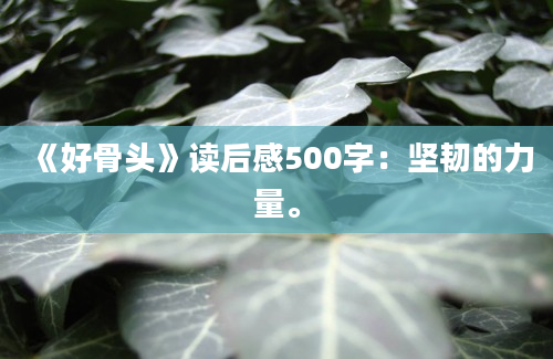 《好骨头》读后感500字：坚韧的力量。