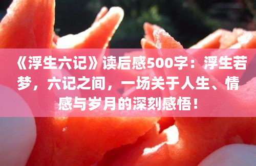 《浮生六记》读后感500字：浮生若梦，六记之间，一场关于人生、情感与岁月的深刻感悟！