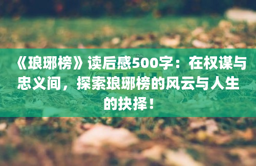 《琅琊榜》读后感500字：在权谋与忠义间，探索琅琊榜的风云与人生的抉择！