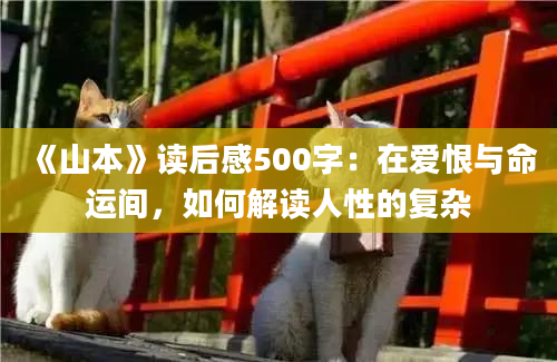 《山本》读后感500字：在爱恨与命运间，如何解读人性的复杂