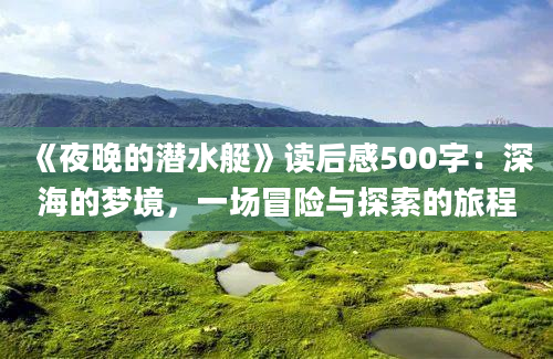 《夜晚的潜水艇》读后感500字：深海的梦境，一场冒险与探索的旅程