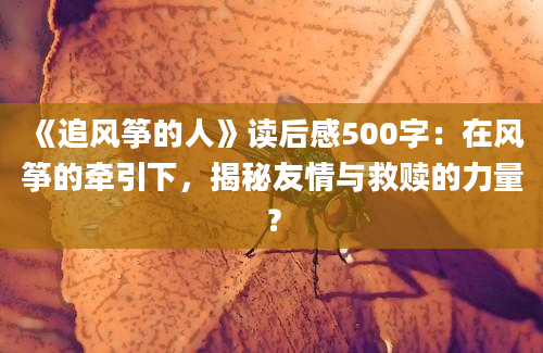 《追风筝的人》读后感500字：在风筝的牵引下，揭秘友情与救赎的力量？