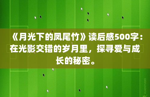 《月光下的凤尾竹》读后感500字：在光影交错的岁月里，探寻爱与成长的秘密。