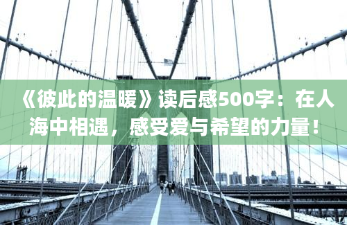 《彼此的温暖》读后感500字：在人海中相遇，感受爱与希望的力量！