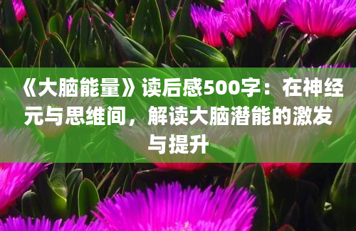 《大脑能量》读后感500字：在神经元与思维间，解读大脑潜能的激发与提升