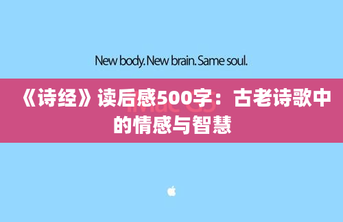 《诗经》读后感500字：古老诗歌中的情感与智慧