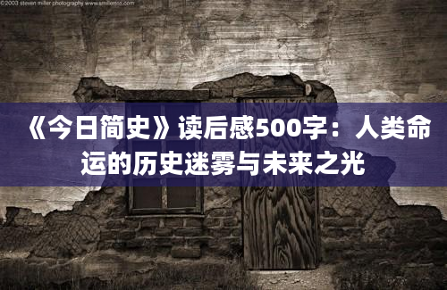 《今日简史》读后感500字：人类命运的历史迷雾与未来之光