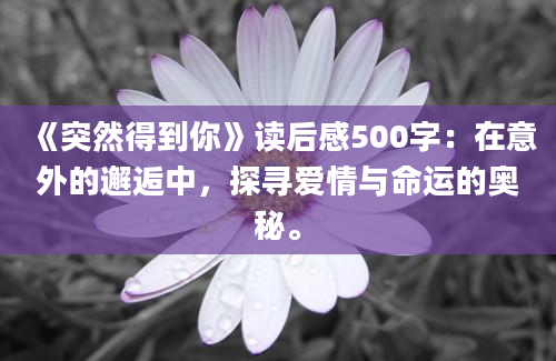 《突然得到你》读后感500字：在意外的邂逅中，探寻爱情与命运的奥秘。