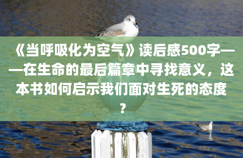 《当呼吸化为空气》读后感500字——在生命的最后篇章中寻找意义，这本书如何启示我们面对生死的态度？