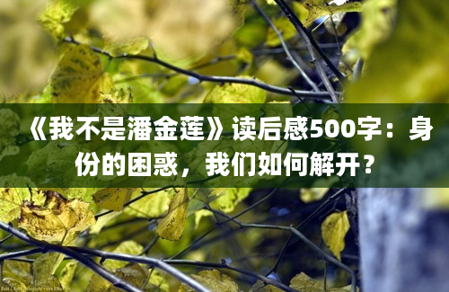 《我不是潘金莲》读后感500字：身份的困惑，我们如何解开？