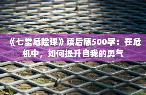 《七堂危险课》读后感500字：在危机中，如何提升自我的勇气