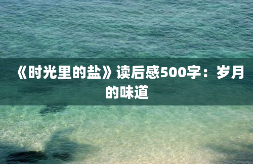 《时光里的盐》读后感500字：岁月的味道