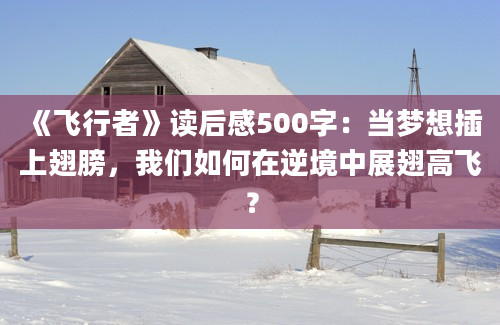 《飞行者》读后感500字：当梦想插上翅膀，我们如何在逆境中展翅高飞？