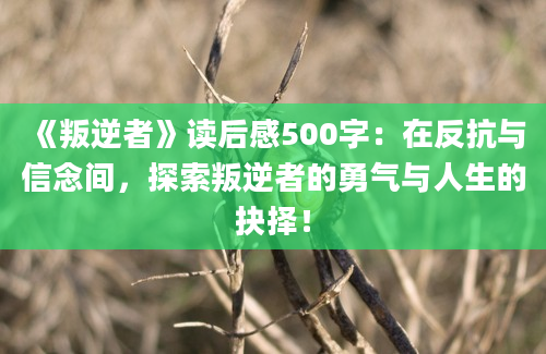 《叛逆者》读后感500字：在反抗与信念间，探索叛逆者的勇气与人生的抉择！