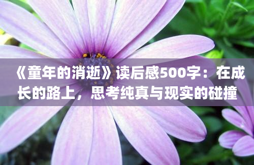 《童年的消逝》读后感500字：在成长的路上，思考纯真与现实的碰撞