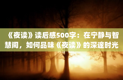 《夜读》读后感500字：在宁静与智慧间，如何品味《夜读》的深邃时光