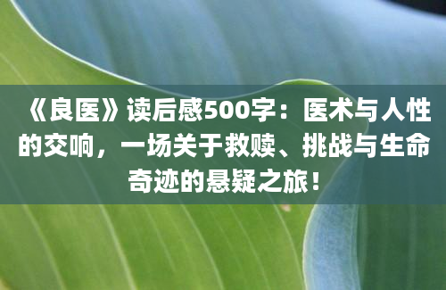 《良医》读后感500字：医术与人性的交响，一场关于救赎、挑战与生命奇迹的悬疑之旅！