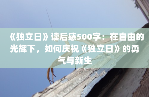 《独立日》读后感500字：在自由的光辉下，如何庆祝《独立日》的勇气与新生