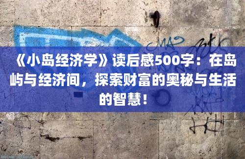 《小岛经济学》读后感500字：在岛屿与经济间，探索财富的奥秘与生活的智慧！