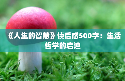 《人生的智慧》读后感500字：生活哲学的启迪