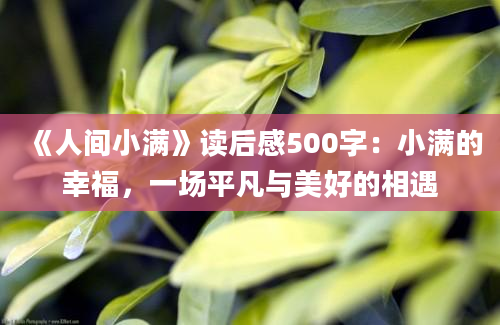 《人间小满》读后感500字：小满的幸福，一场平凡与美好的相遇